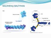 Anatomija ir fiziologija  11 puslapis