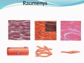 Anatomija ir fiziologija  4 puslapis