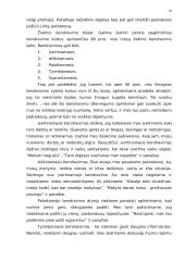 Bendravimo būdai grupėse 19 puslapis