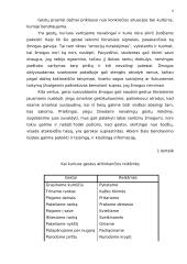 Bendravimo būdai grupėse 7 puslapis