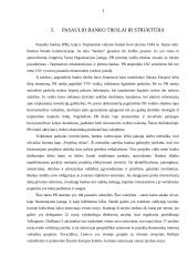 Bankų susivienijimai 7 puslapis