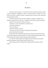 Bankų susivienijimai 10 puslapis