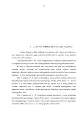 Europos Sąjungos taryba: funkcijos, vaidmuo sprendimo priėmimo procedūrose 13 puslapis