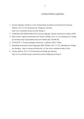 Europos Sąjungos taryba: funkcijos, vaidmuo sprendimo priėmimo procedūrose 17 puslapis