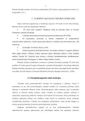 Europos Sąjungos taryba: funkcijos, vaidmuo sprendimo priėmimo procedūrose 6 puslapis