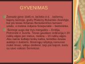 Žemaitė. Gyvenimas ir kūryba 2 puslapis