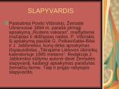 Žemaitė. Gyvenimas ir kūryba 6 puslapis