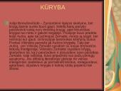 Žemaitė. Gyvenimas ir kūryba 7 puslapis