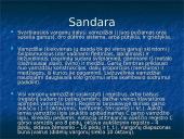 Vargonų istorija ir sandara 3 puslapis