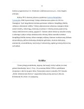 Naujoji viešoji vadyba – plati sąvoka 11 puslapis