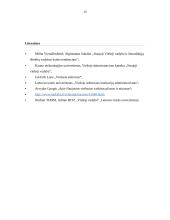 Naujoji viešoji vadyba – plati sąvoka 15 puslapis