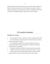 Naujoji viešoji vadyba – plati sąvoka 6 puslapis