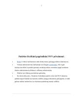 Naujoji viešoji vadyba – plati sąvoka 7 puslapis