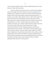 Naujoji viešoji vadyba – plati sąvoka 9 puslapis