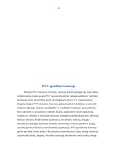 Naujoji viešoji vadyba – plati sąvoka 10 puslapis