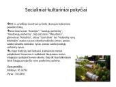 AB Anykščių vynas 11 puslapis