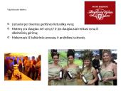 AB Anykščių vynas 12 puslapis