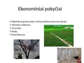 AB Anykščių vynas 5 puslapis