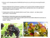 AB Anykščių vynas 6 puslapis