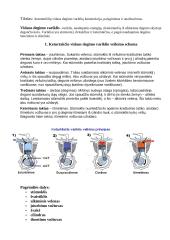 Automobilių vidaus degimo variklių konstrukcija, palyginimas ir analizavimas 2 puslapis