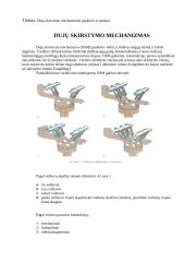 Dujų skirstymo mechanizmo paskirtis ir sandara 2 puslapis
