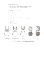 Dujų skirstymo mechanizmo paskirtis ir sandara 3 puslapis
