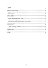 Kaltinimas baudžiamajame procese, kaltinimo struktūra  2 puslapis