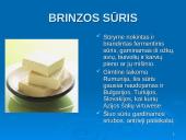 Sūriai skaidrės 7 puslapis