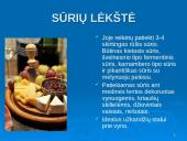 Sūriai skaidrės 9 puslapis