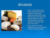 Sūriai skaidrės 10 puslapis