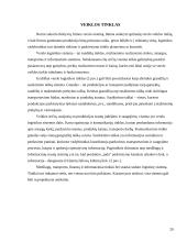 Logistikos veiklos organizavimas 20 puslapis