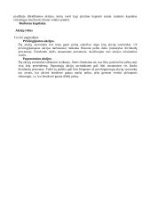 Verslas ir verslininkystė 11 puslapis