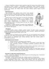 Verslas ir verslininkystė 7 puslapis