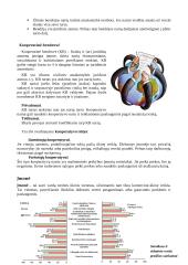 Verslas ir verslininkystė 9 puslapis