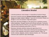 Renesansas. Pristatymas 4 puslapis