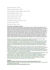 Muziejuose kaupiami praeities kultūros turtai. Kodėl jaunimui naudinga juos pažinti? Argumentuokite. 3 puslapis