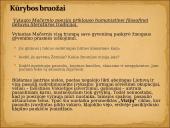 Skaidrės apie Vytautą Mačernį 11 puslapis