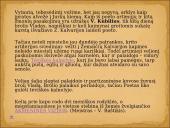 Skaidrės apie Vytautą Mačernį 8 puslapis