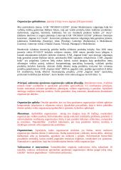 Įmonės analizavimas 3 puslapis