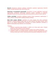 Įmonės analizavimas 4 puslapis