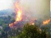 Miškų gaisrai skaidrės 13 puslapis