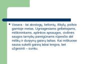 Miškų gaisrai skaidrės 6 puslapis