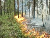 Miškų gaisrai skaidrės 7 puslapis