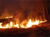 Miškų gaisrai skaidrės 10 puslapis