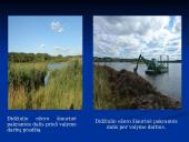 Vandens problemos 12 puslapis