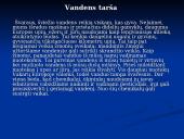 Vandens problemos 13 puslapis