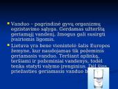 Vandens problemos 3 puslapis