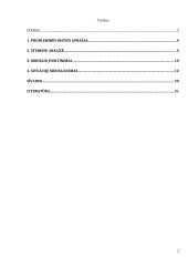 JAV dolerio kurso kitimo analizė ir prognozavimas 2 puslapis