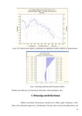 JAV dolerio kurso kitimo analizė ir prognozavimas 12 puslapis