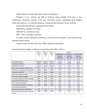 Finansinės veiklos vertinimas: AB "Pieno žvaigždės" 18 puslapis